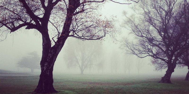 ZB161610：行业资讯、工具集合与信息聚合的深度解析与价值挖掘