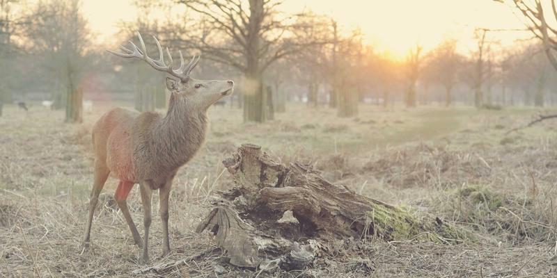 ZB161612：一站式行业资讯与工具集合平台深度解析