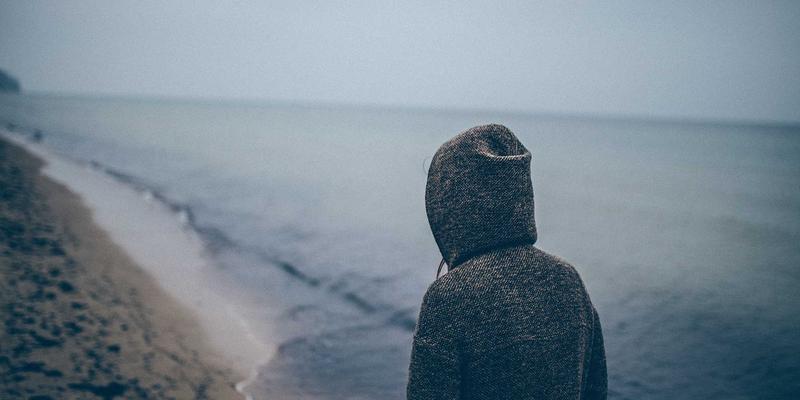 ZB161625:行业资讯与工具集合的深度解析与应用指南