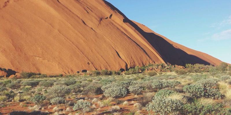 ZB161627深度解析：行业资讯与工具集合如何重塑专业工作流