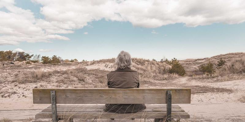 ZB161639：解码信息聚合如何重塑行业资讯新生态