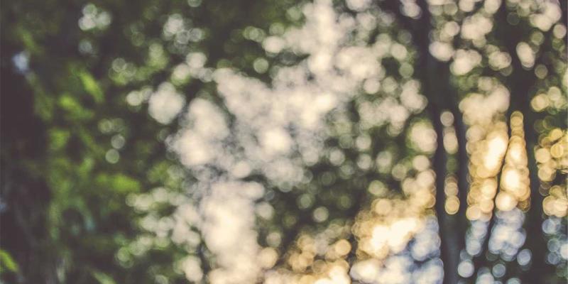 ZB161640：解码信息聚合与资源导航如何重塑行业资讯新生态