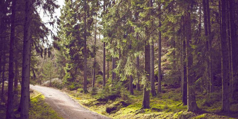 ZB161645深度解析：信息聚合与工具集合如何重塑数字工作效率