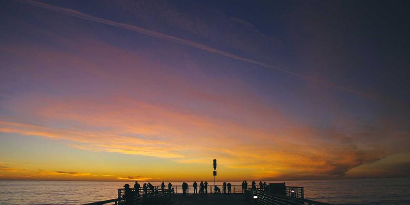 ZB161666：数字时代学习者的终极资源导航与工具集合指南