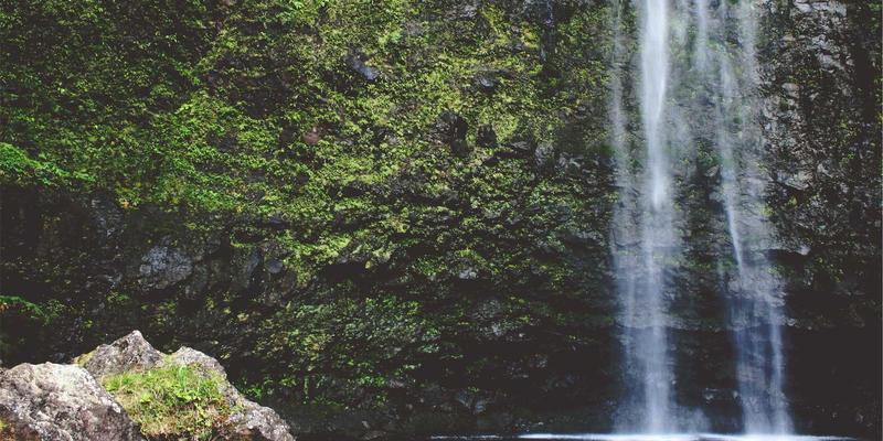 ZB161677深度解析：如何通过专业学习资源与行业资讯实现能力跃迁