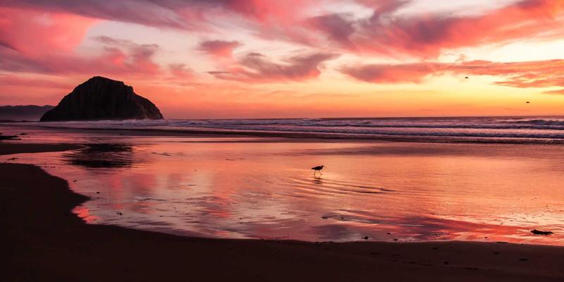 ZB161692：数字时代的学习革命——智能学习资源聚合与工具集合全解析