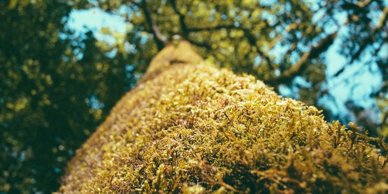 ZB1616 OTA升级机制深度剖析：安全、高效与断点续传的实现 | 开发者学习资源导航