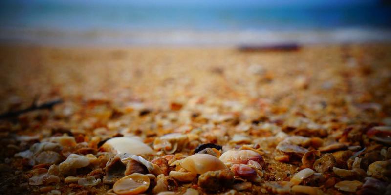 ZB1616与云平台集成方案：MQTT/CoAP协议对接与数据上云实践 | 信息聚合与资源导航指南