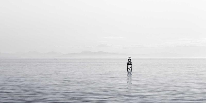 ZB1616前景解析：如何成为您的下一代资源导航与学习引擎