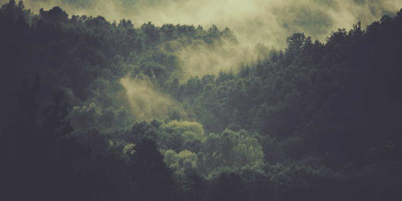 ZB1616在智慧农业中的实践：土壤墒情监测与自动化灌溉控制 | 行业资讯与资源导航