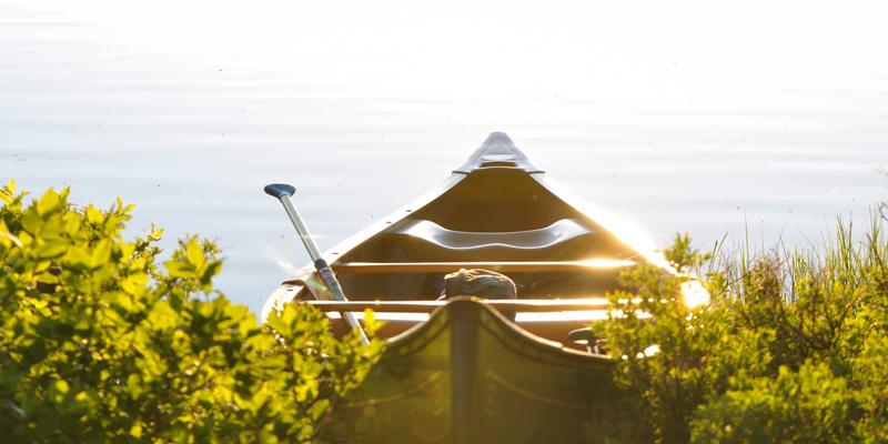 ZB1616在智慧农业中的应用：环境监测与自动化灌溉系统搭建实战指南