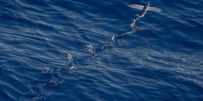 ZB1616在智慧楼宇中的应用：解锁能耗管理与设备联动的行业资讯与工具集合