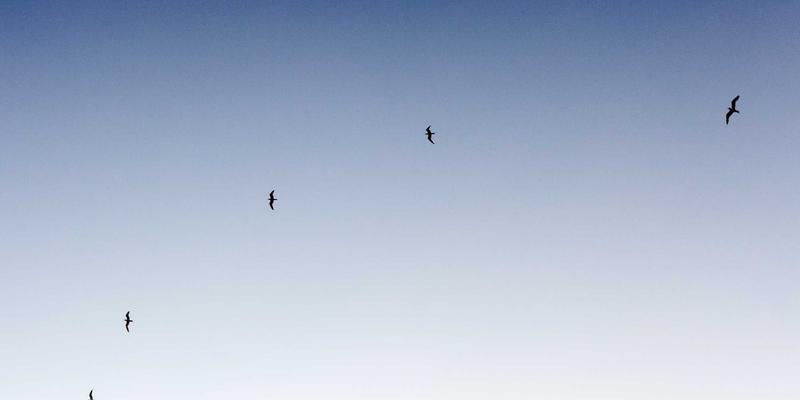 ZB1616完全使用指南：解锁信息聚合与工具集合的高效工作流