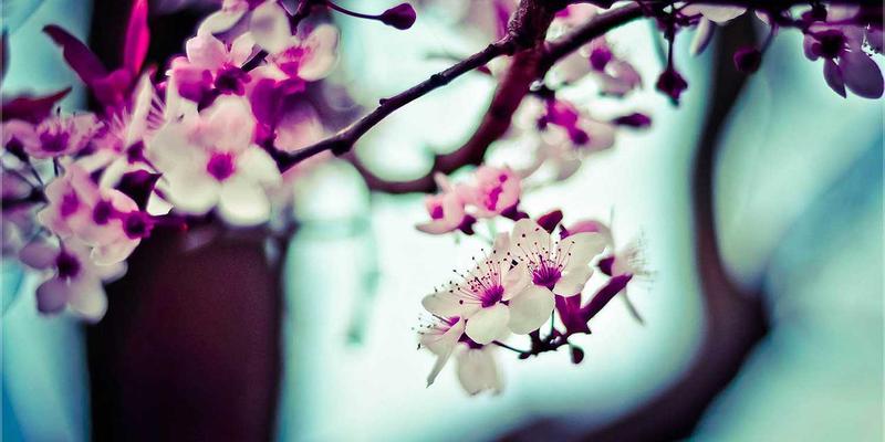 ZB1616完全攻略:高效整合学习资源与信息聚合的终极指南