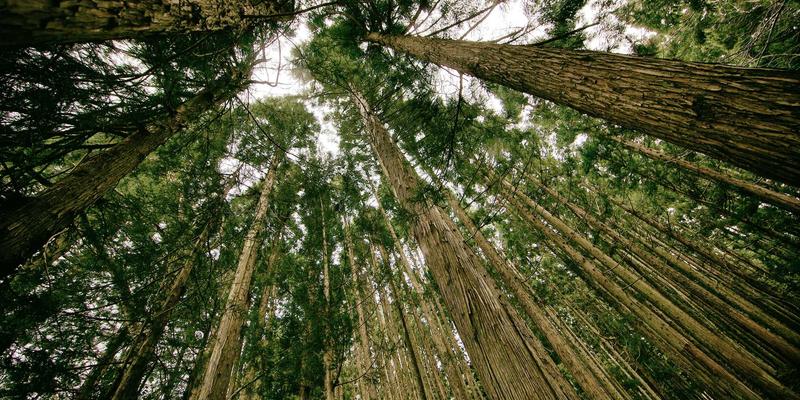 ZB1616模块电源管理设计全攻略：硬件与软件技巧实现超长待机，附资源导航与工具集合