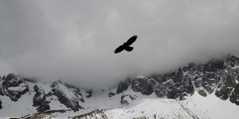 ZB1616网关开发实战：实现蓝牙/Wi-Fi协议转换与数据融合的资源导航