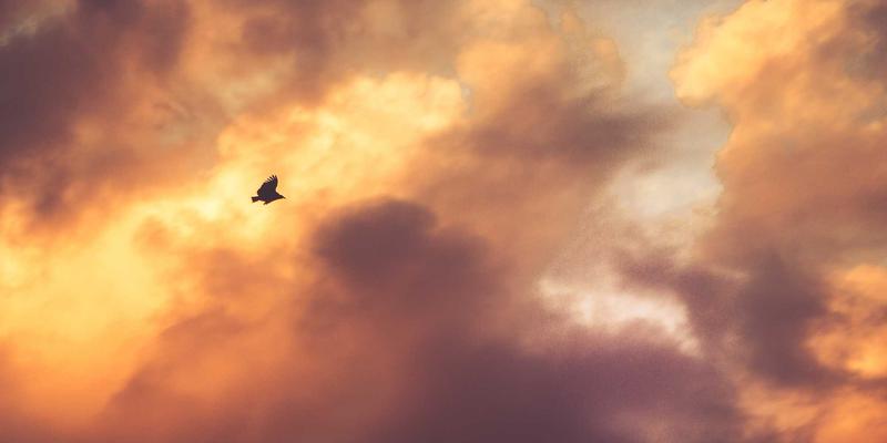 ZB1616进阶指南:解锁行业资讯与工具集合的高效应用之道